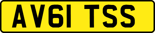 AV61TSS