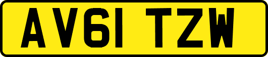 AV61TZW