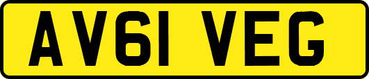 AV61VEG