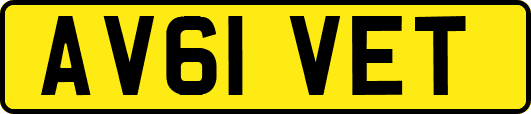 AV61VET