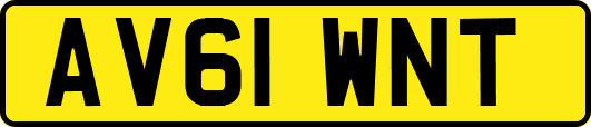AV61WNT