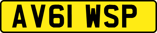 AV61WSP
