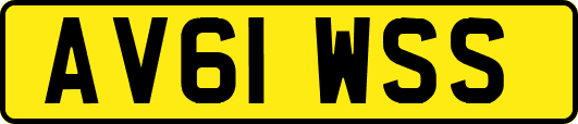 AV61WSS