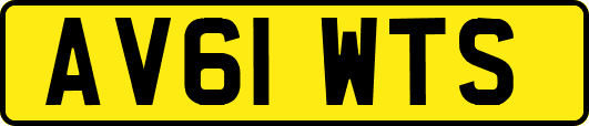 AV61WTS