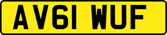 AV61WUF