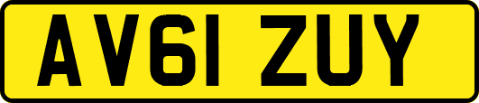 AV61ZUY