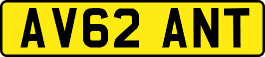 AV62ANT