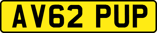 AV62PUP