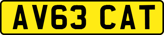 AV63CAT
