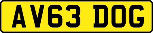 AV63DOG