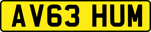 AV63HUM