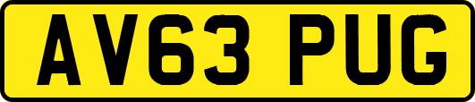 AV63PUG