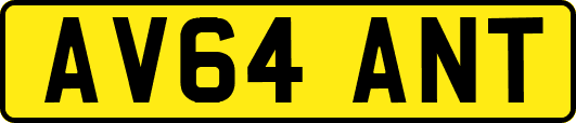 AV64ANT