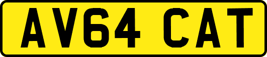 AV64CAT