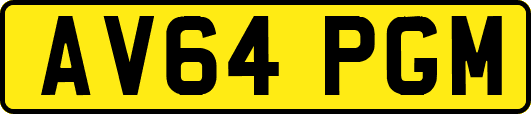 AV64PGM