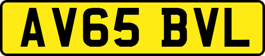AV65BVL
