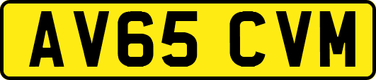 AV65CVM
