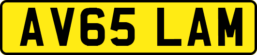 AV65LAM