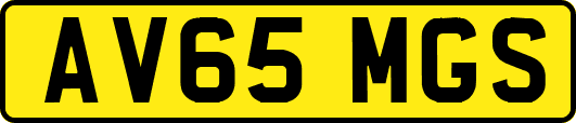 AV65MGS