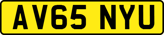 AV65NYU