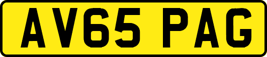 AV65PAG