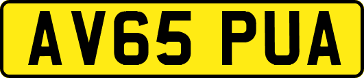 AV65PUA
