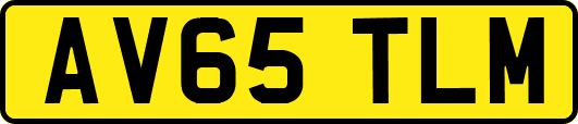 AV65TLM
