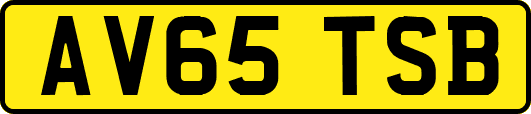 AV65TSB