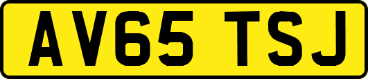 AV65TSJ
