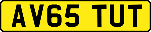 AV65TUT