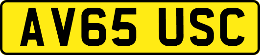 AV65USC