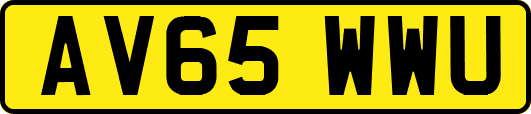 AV65WWU