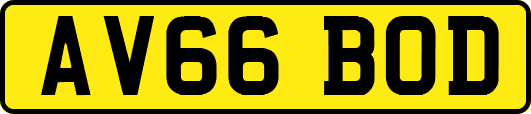 AV66BOD