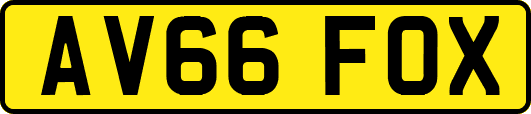 AV66FOX