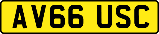 AV66USC