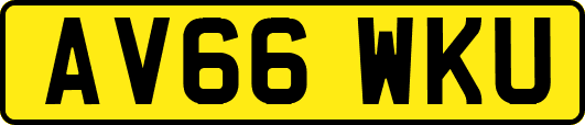 AV66WKU