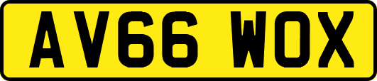 AV66WOX