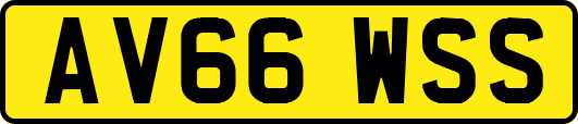 AV66WSS
