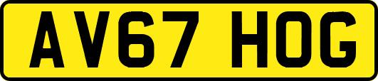 AV67HOG