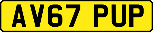 AV67PUP