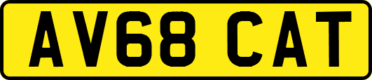 AV68CAT