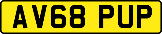 AV68PUP