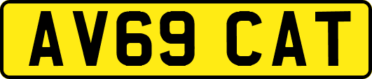 AV69CAT