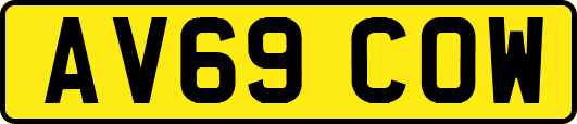 AV69COW