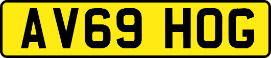 AV69HOG
