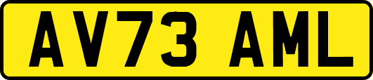 AV73AML