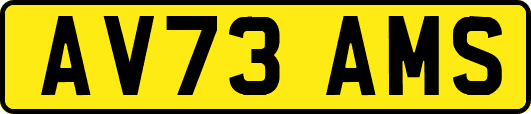 AV73AMS