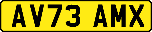 AV73AMX