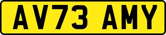 AV73AMY