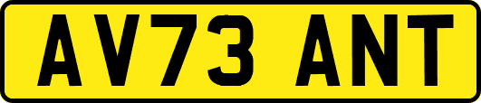 AV73ANT